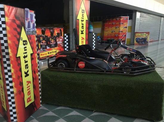 Rally Karting
