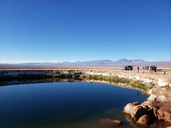 Ojos del Salar